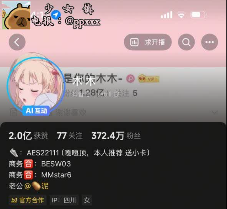 木 木 主页